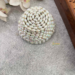Vriksham Celestial Shimmer Ivory Round Clutch Style With Hair Bun Cage Accessory-H1303