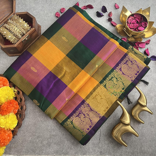 Paalum Pazhamum Checks Silk Cotton Saree-Handloom-VS4095