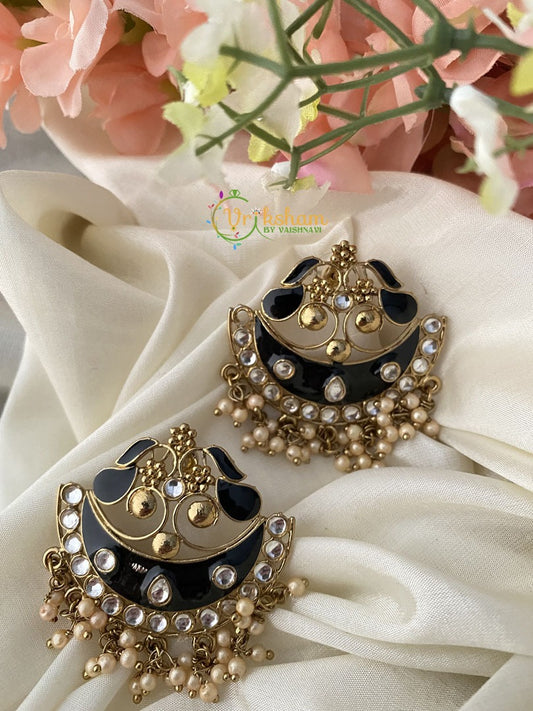 Party Wear Designer Danglers -Black -G2497