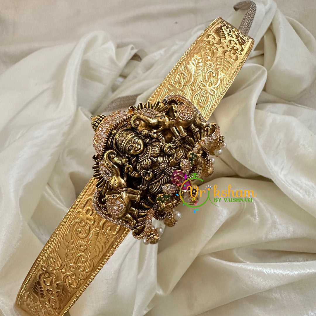 HOT Pattu Saree Gold Hip Belts Waist Belts Plain Hip Belt For