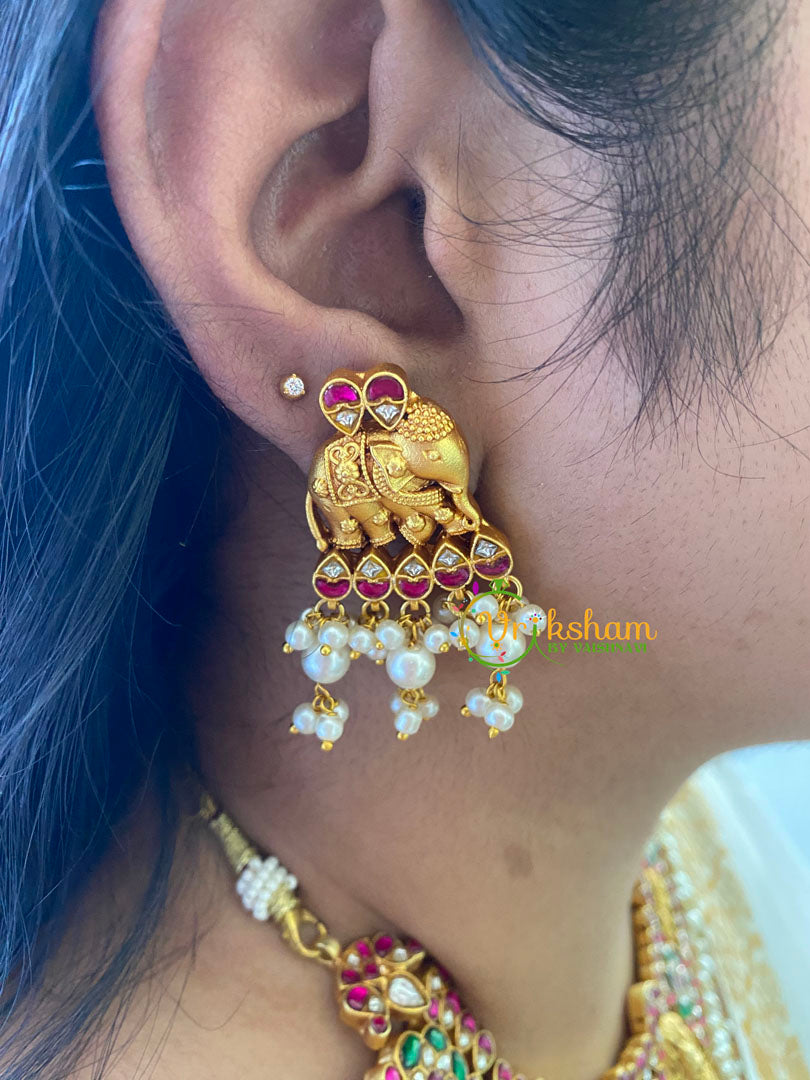 Lakshmi Jadau Kundan High Neck Choker-J713