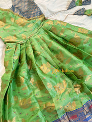 Parrot Green Indian Traditional Dress for Girls- Girls Gown -VS1235