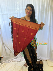Black Rani Paithani Soft Silk Saree -VS7347